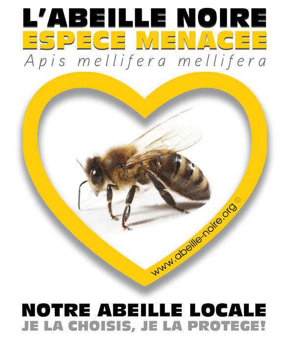 http://rucherecoledepoisy.fr/wp-content/uploads/2018/10/abeille-noire-canif-web.png
